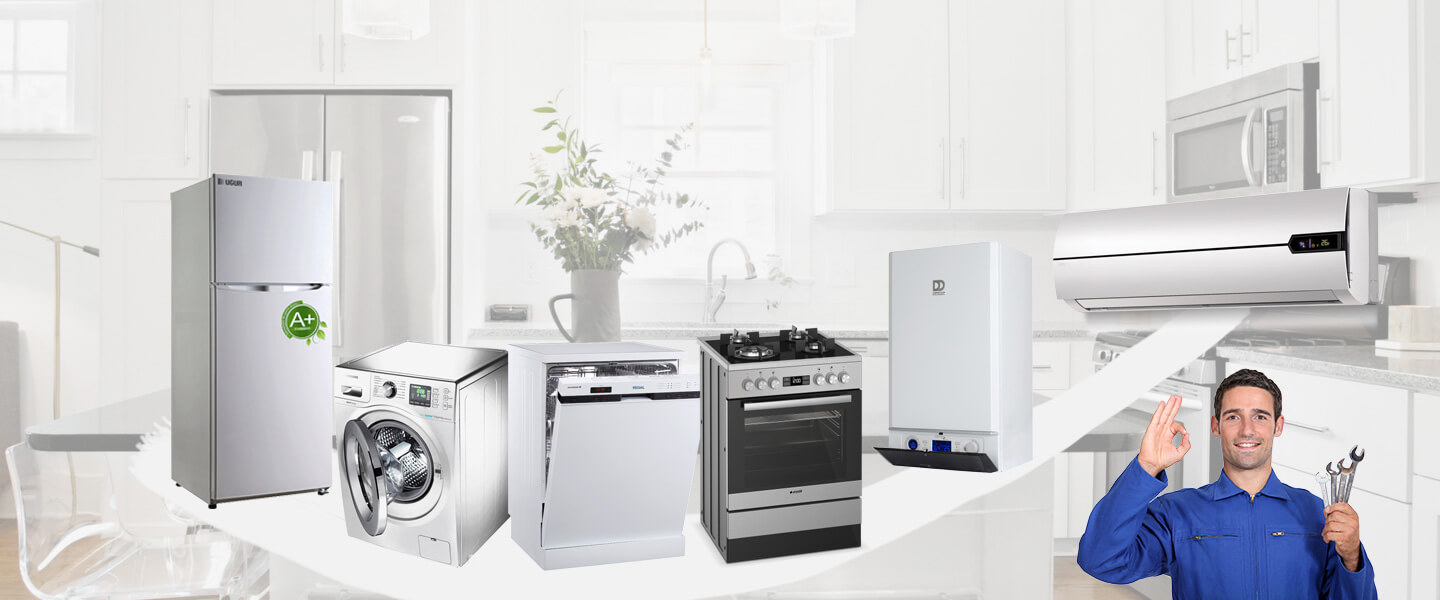 Kapaklı Smeg Servisi